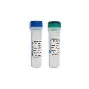qMAX Green One Step Kit